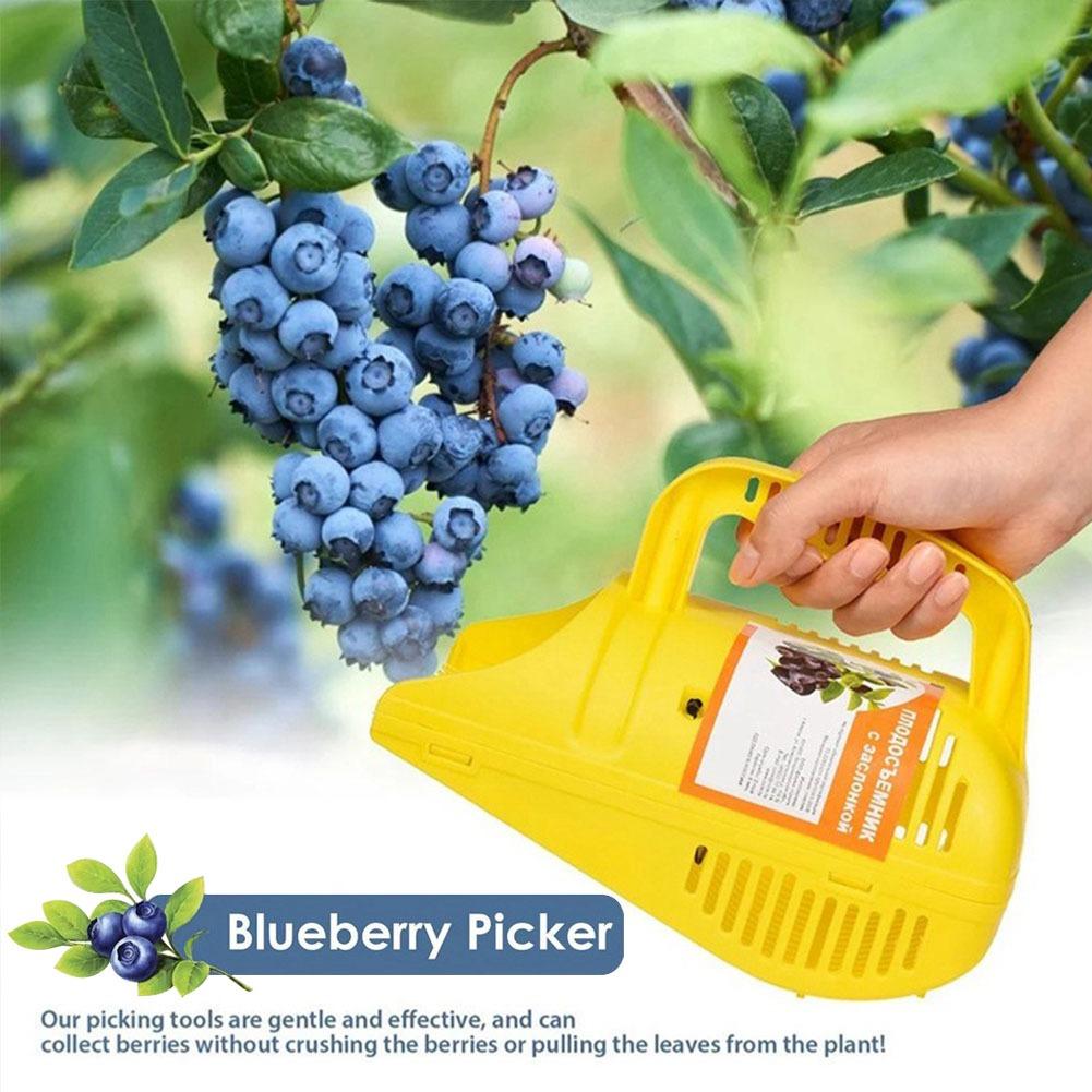 Gemakkelijk te hanteren bosbes - Gardening Tools Must Haves recensie en prijs